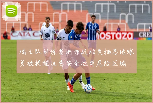 瑞士队训练基地邻近蛇类栖息地球员被提醒注意安全远离危险区域